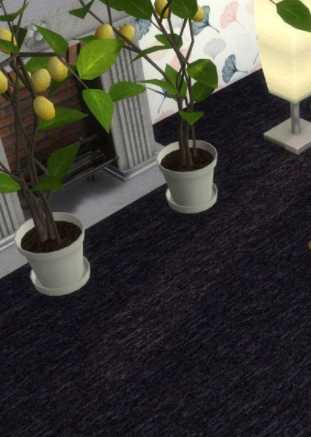 模拟人生4深色大地毯MOD