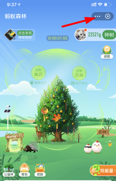 支付宝怎么开通步行有能量?支付宝怎么开通步数授权?