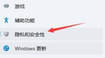 Win11如何进行隐私设置？Win11隐私设置方法