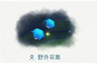 原神幽灯蕈位置在哪 原神幽灯蕈位置攻略