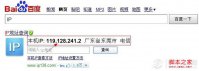 IP地址如何查看？Win11查看IP地址的方法