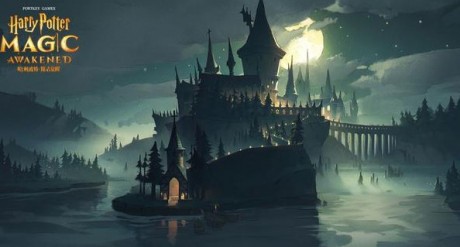 哈利波特魔法觉醒霍琦夫人位置在哪 哈利波特魔法