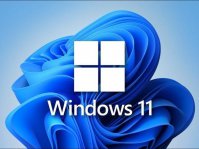 Win11提示ms-gamingoverlay怎么办？