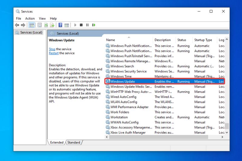 如何获取Win11更新?检查Windows更新没有出现Win11