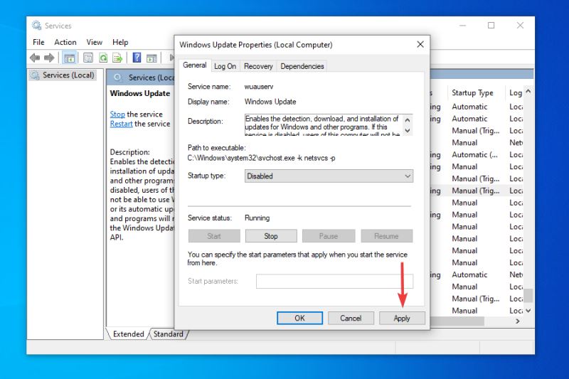 如何获取Win11更新?检查Windows更新没有出现Win11