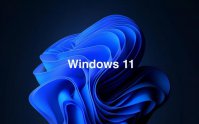 最新Win11专业版/家庭版/企业版/教育版激活码KEY