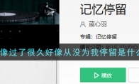忆好像过了很久好像从没为我停留是什么歌