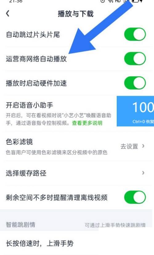 爱奇艺如何开启运营商网络自动播放