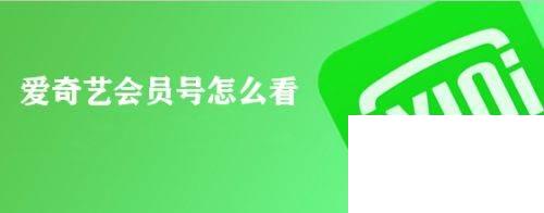 爱奇艺会员号怎么看