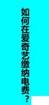 如何在爱奇艺缴纳电费