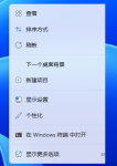 win11壁纸怎么可以动 windows11怎么设置动态壁纸桌面教程