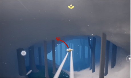 光遇雨林散落的星光在哪 光遇雨林散落的星光位置分布