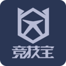 竞技宝安卓版