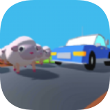 动物与道路