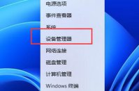 Win11系统玩虐杀原形闪退的解决方法