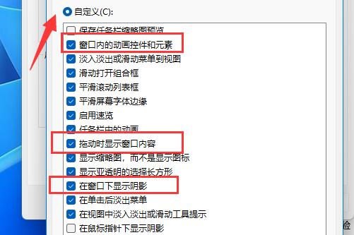 Win11系统设置窗口动画效果的方法