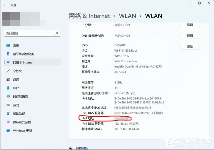 Win11的网络与共享中心怎么设置？Win11局域网共享设置方法