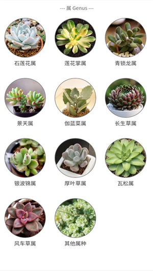 植物君