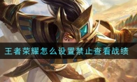 王者荣耀怎么设置禁止查看战绩