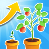 植物冲刺