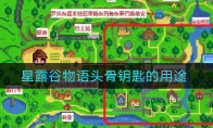 星露谷物语头骨钥匙的用途