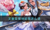王者荣耀体验服怎么进