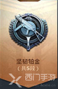 和平精英段位等级顺序2022