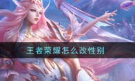 王者荣耀怎么改性别