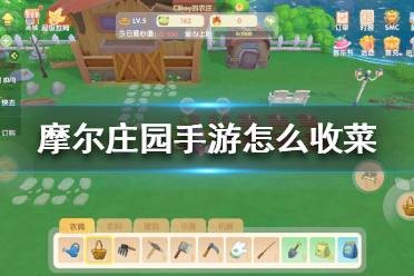 摩尔庄园手游怎么收菜 摩尔庄园手游收菜方法一览