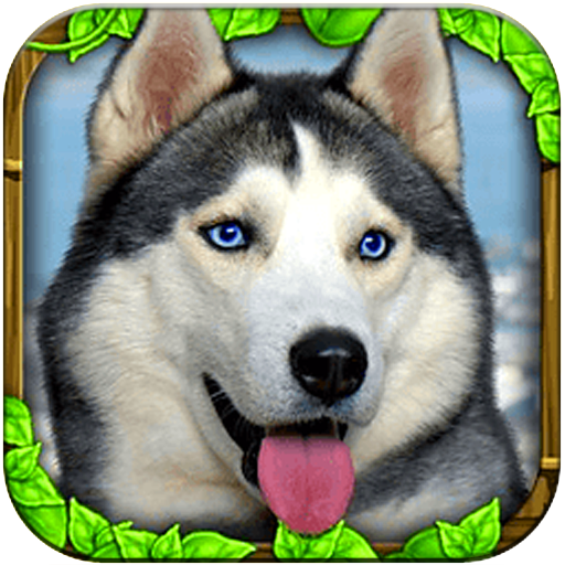 流浪狗模拟器汉化版