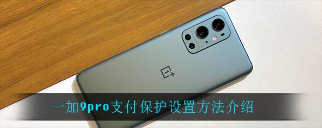 一加9pro支付保护设置方法介绍