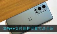 一加9pro支付保护设置方法介绍