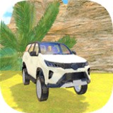 印度重型汽车司机