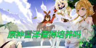 原神雷泽值得培养吗