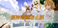 原神青蛙怎么抓