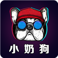 小奶狗