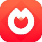 淘花最新版手机软件app