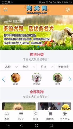 淘犬网