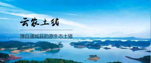 云农土猪