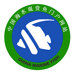 CMF海友网app