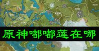 原神嘟嘟莲在哪