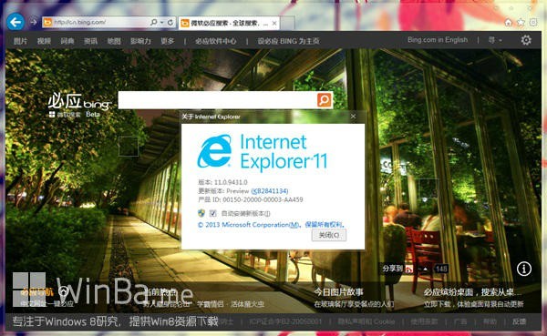 IE11 for win7 官方中文版(32位&64位)