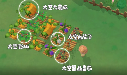摩尔庄园土地节菜谱 摩尔庄园土地节攻略图解