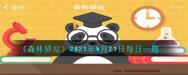 《森林驿站》2021年4月21日每日一题