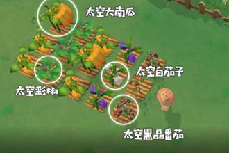 摩尔庄园手游太空种子变异概率多大?怎么增加变异几率?