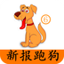 新报跑狗