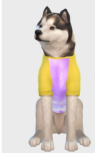 模拟人生4狗狗t恤MOD