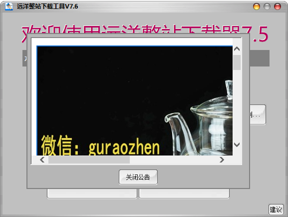 远洋整站下载工具