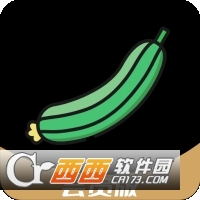 小丝瓜(视频录制)