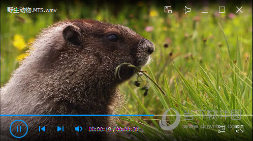 qq影音单文件绿化版